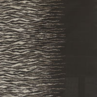 S01 ゼブラ 道引